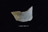 藏品(陶罐)的圖片